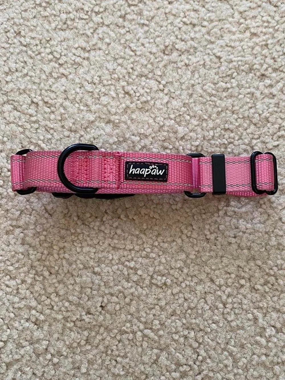 Haapaw Pink Adjustable Dog Collar with Black Hardware